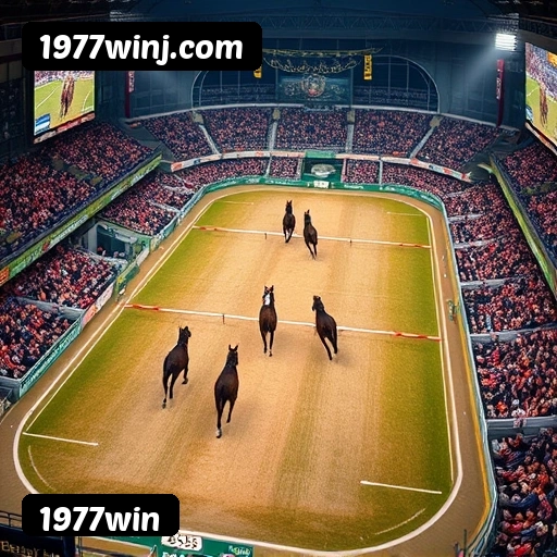 1977win
